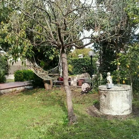 Via Boro Villa *